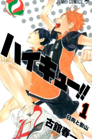 Haikyuu!! Poster