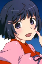 Tsubasa Hanekawa Character Profile