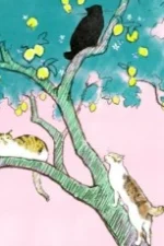 Kiyoshi Sameshima Staff Profile