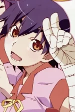 Suruga Kanbaru Character Profile
