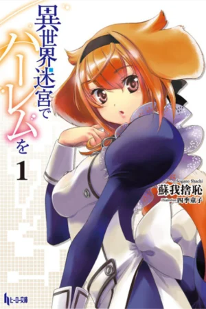 Isekai Meikyuu de Harem wo Poster