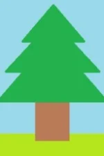 Ichika Isshiki Staff Profile