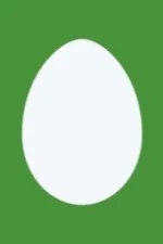 Kumiko Sakamoto Staff Profile