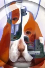 Fumihilo Katagai Staff Profile