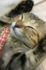 Rei Ueno Staff Profile