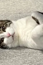 Eiki Etou Staff Profile