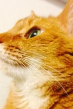 Hiroko Umezaki Staff Profile