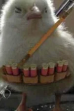 Tokku03 Staff Profile