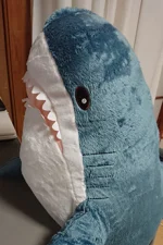 Yasushi Kudou Staff Profile